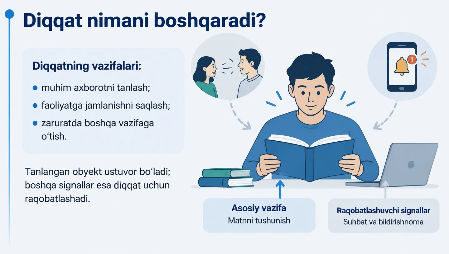 Diqqat nimani boshqaradi?