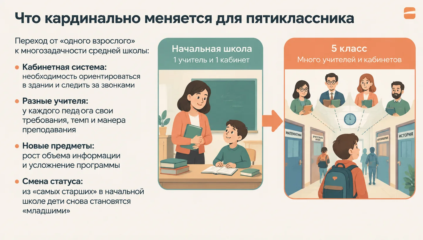 Что кардинально меняется для пятиклассника