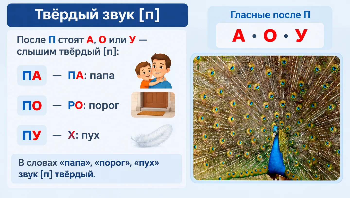 Твёрдый звук [п]