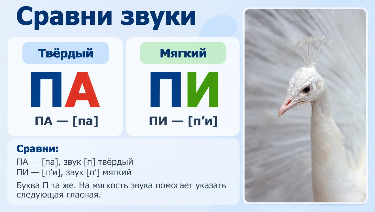 Сравни звуки
