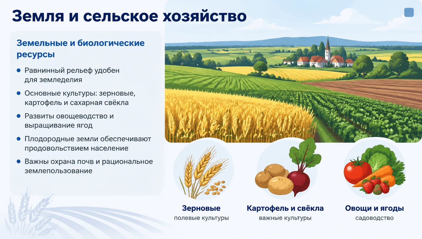 Земля и сельское хозяйство
