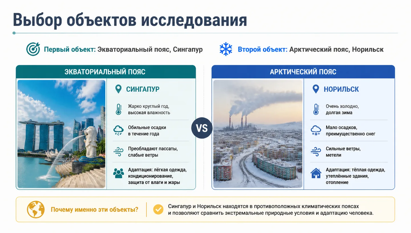 Выбор объектов исследования