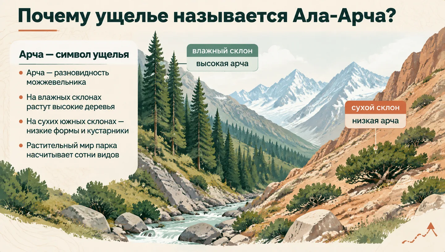Почему ущелье называется Ала-Арча?