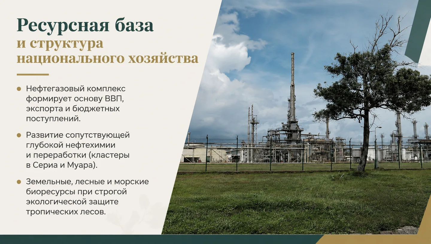 Ресурсная база и структура национального хозяйства