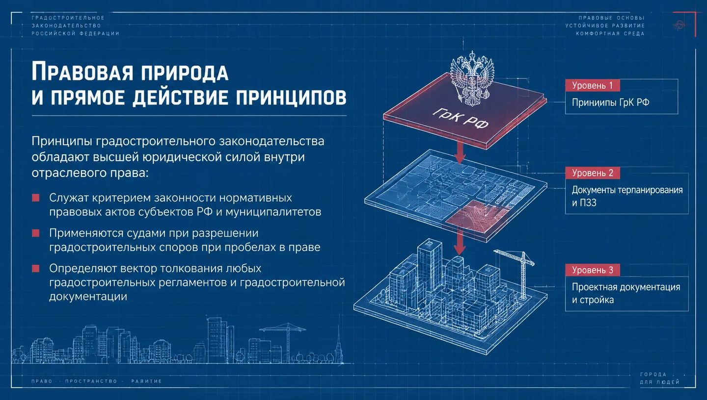 Правовая природа и прямое действие принципов