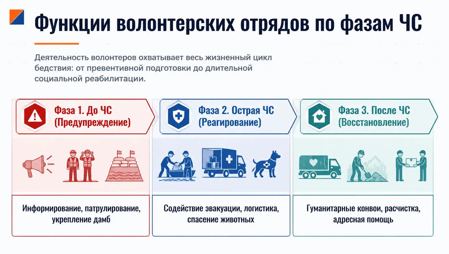 Функции волонтерских отрядов по фазам ЧС