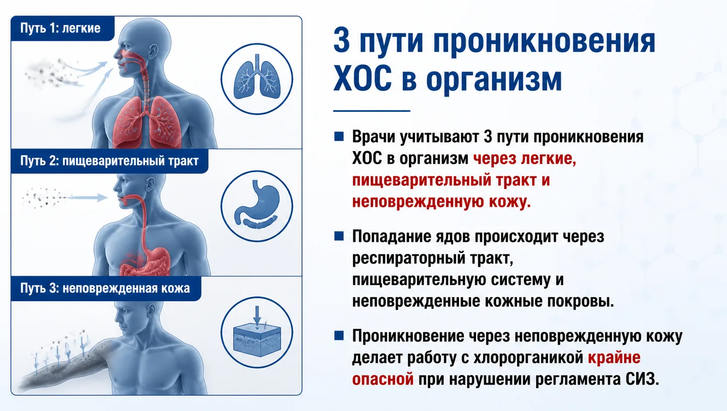3 пути проникновения ХОС в организм