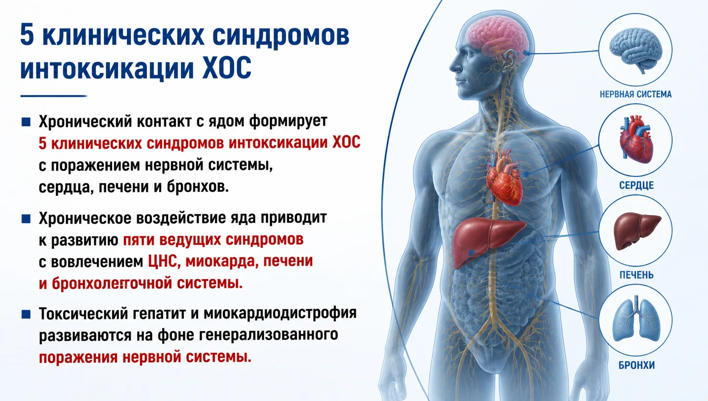 5 клинических синдромов интоксикации ХОС