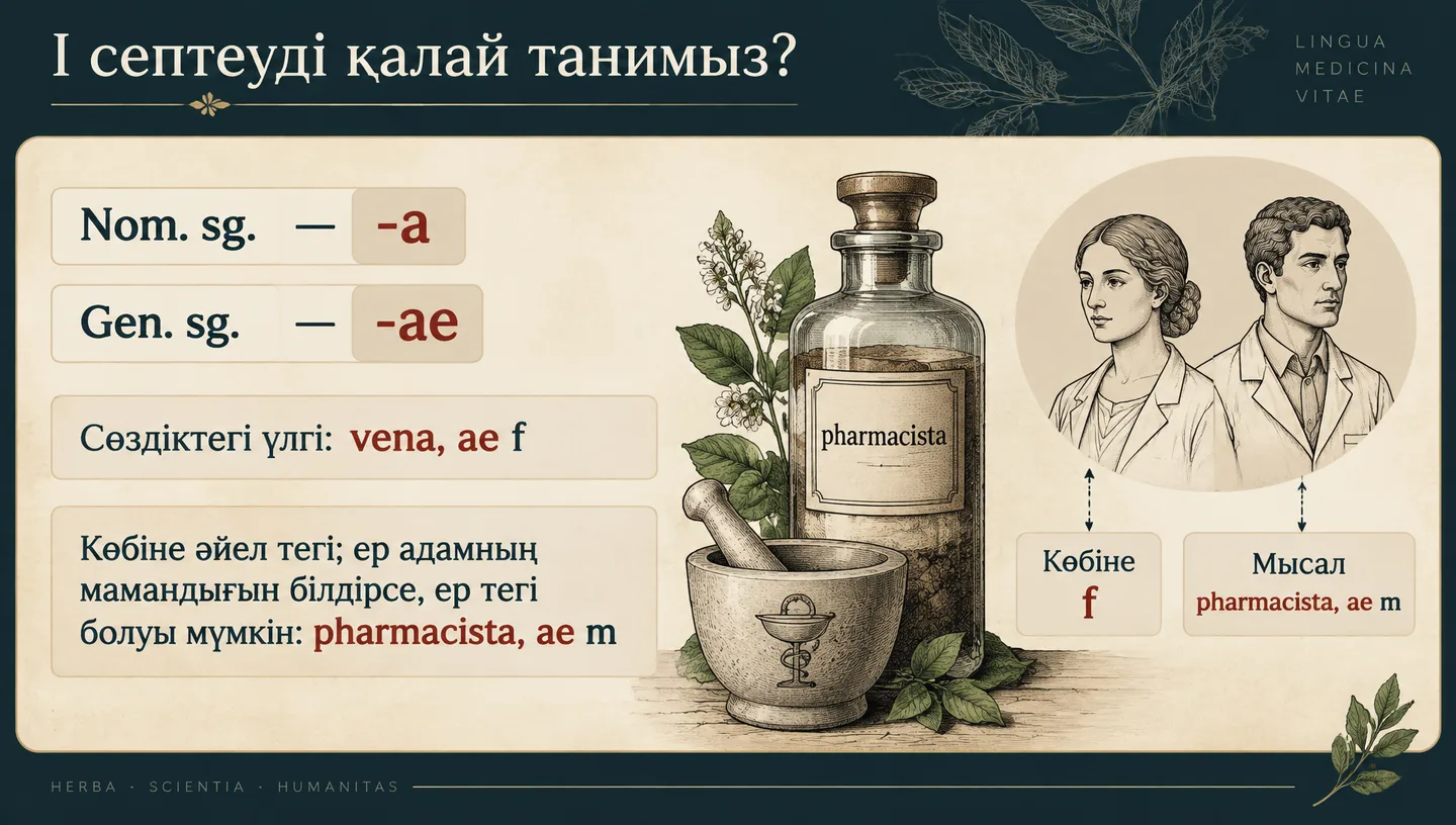 I септеуді қалай танимыз?