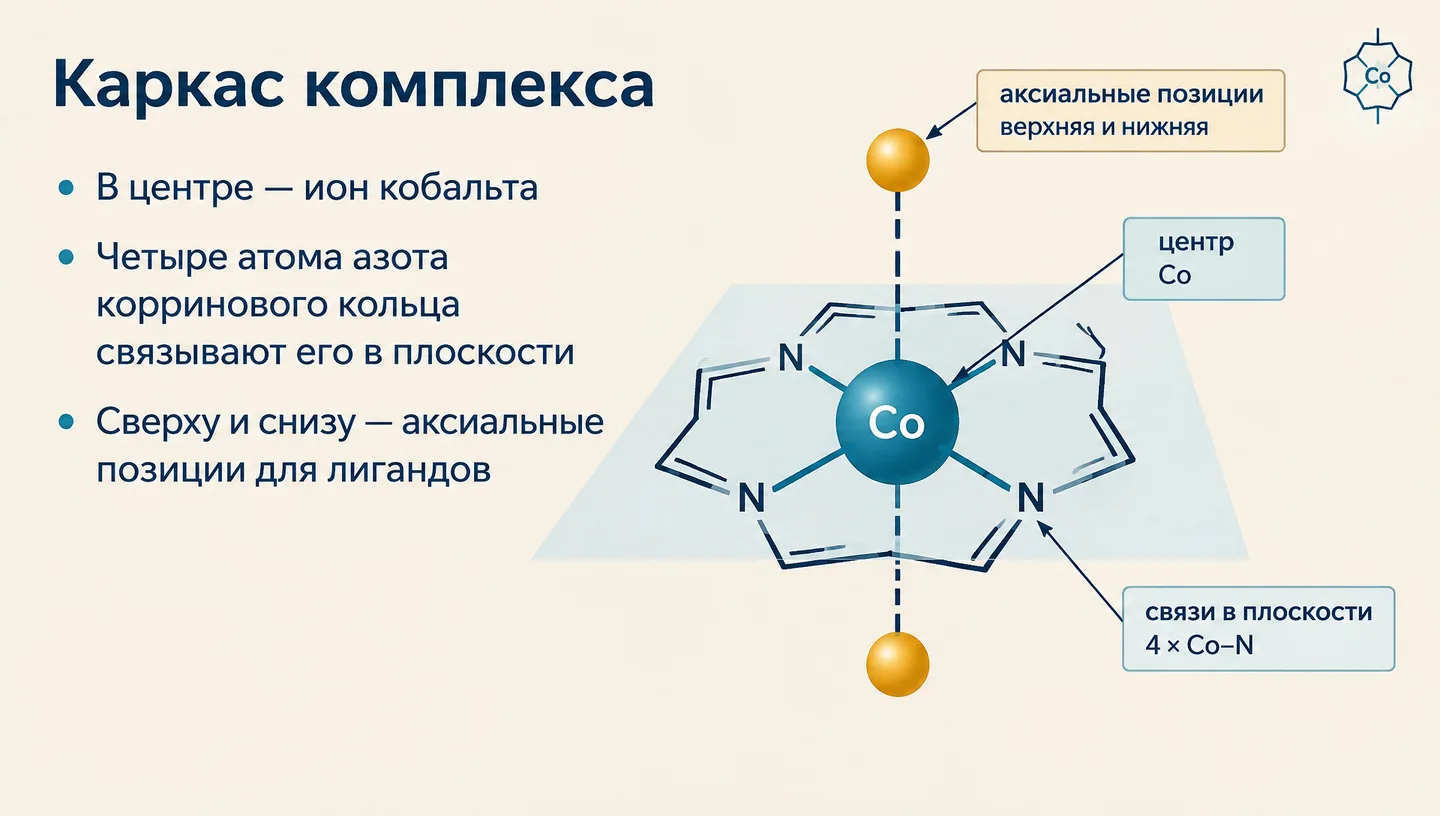 Каркас комплекса