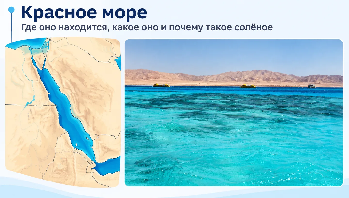Первый слайд: Красное море