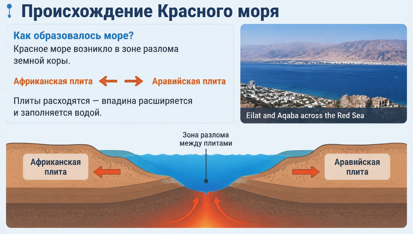 Происхождение Красного моря