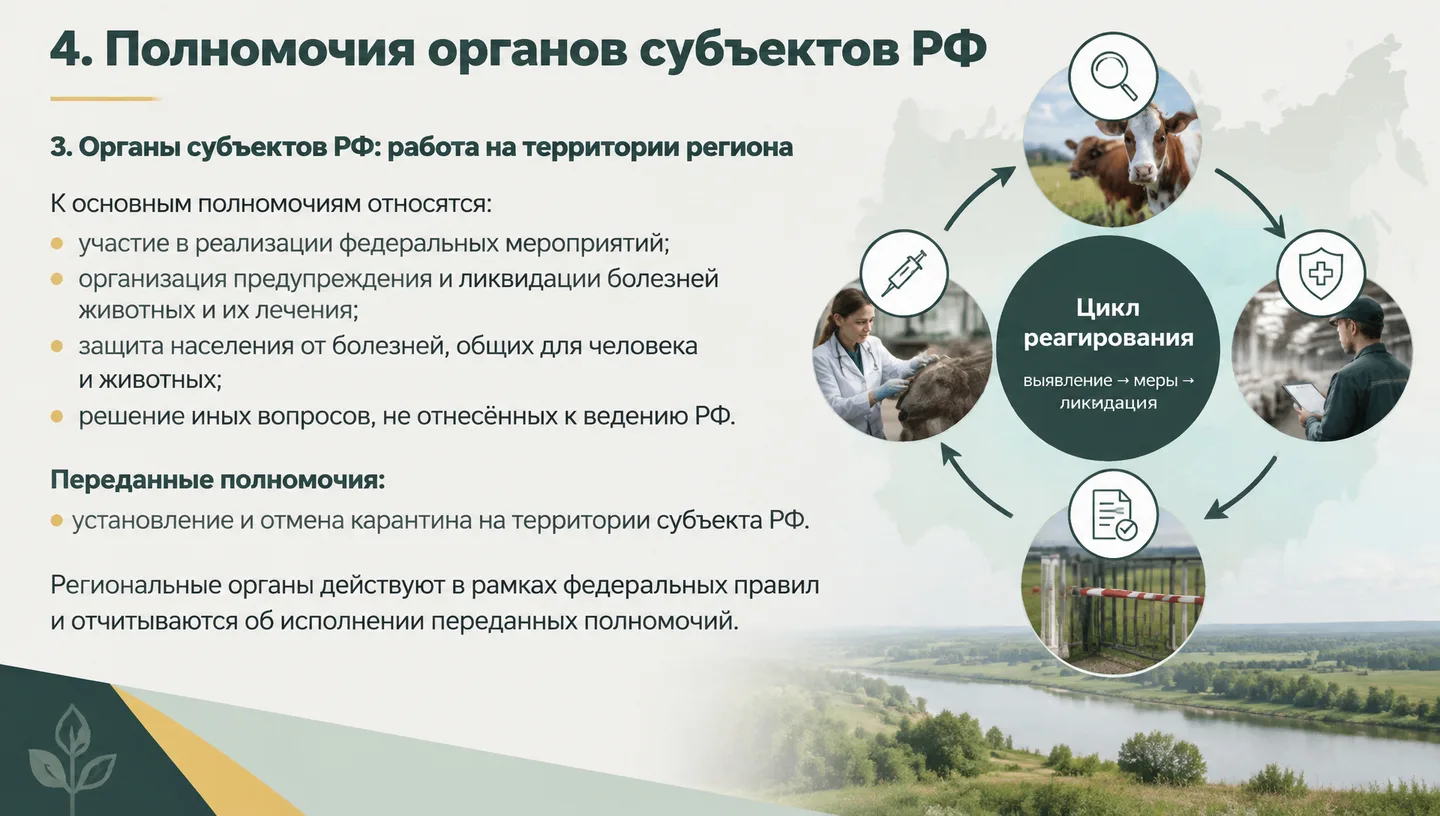4. Полномочия органов субъектов РФ