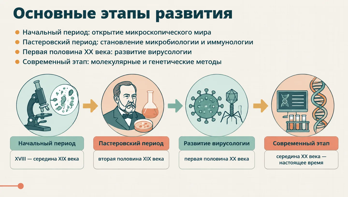 Основные этапы развития