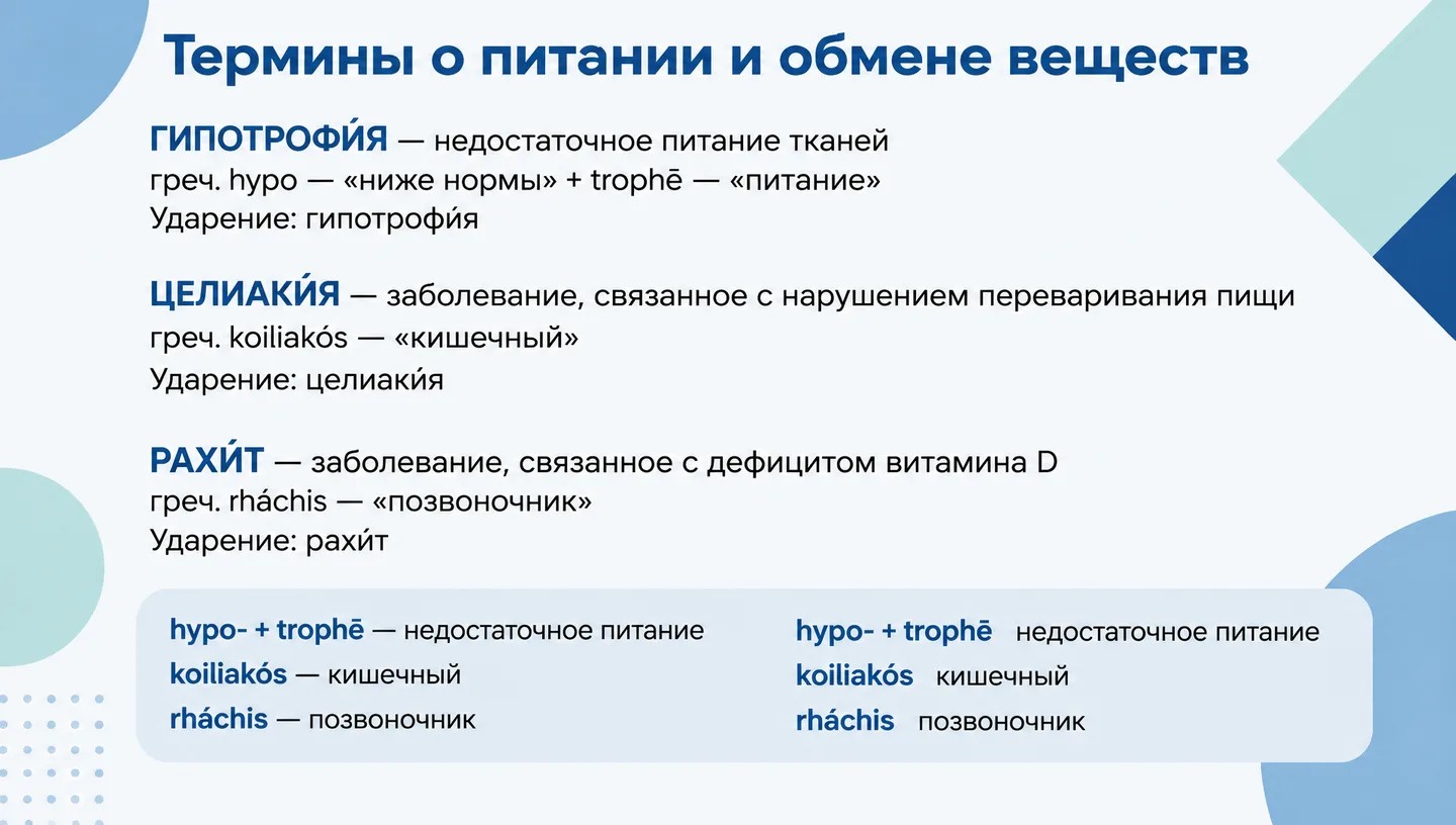 Термины о питании и обмене веществ