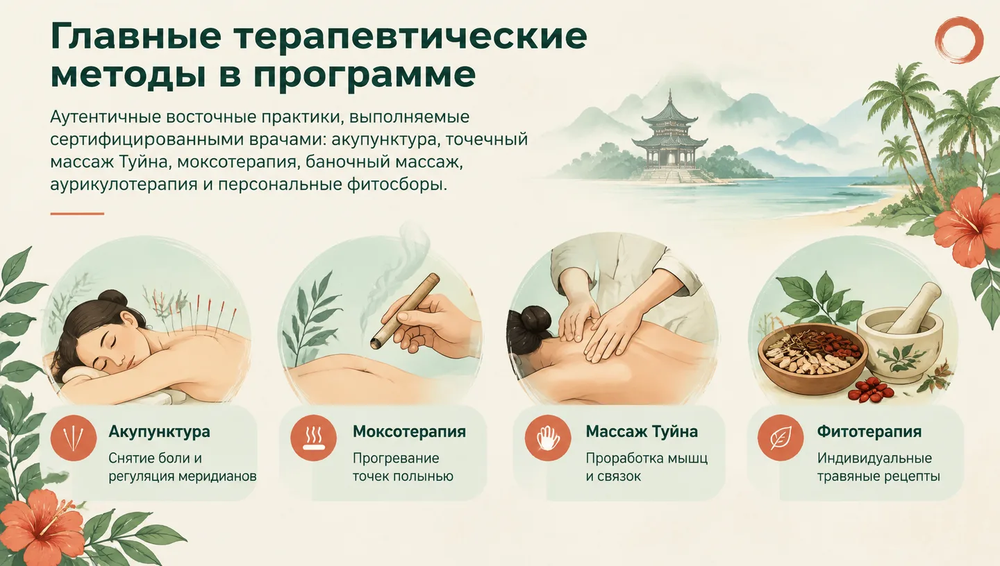 Главные терапевтические методы в программе