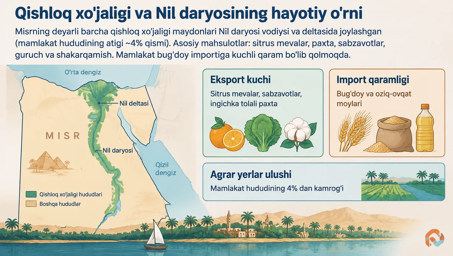 Qishloq xo'jaligi va Nil daryosining hayotiy o'rni