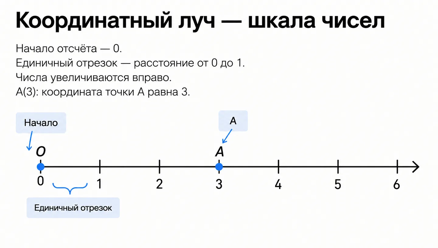 Координатный луч — шкала чисел