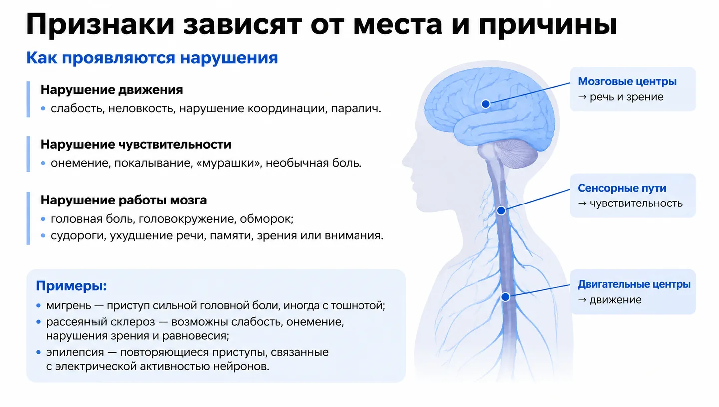 Признаки зависят от места и причины