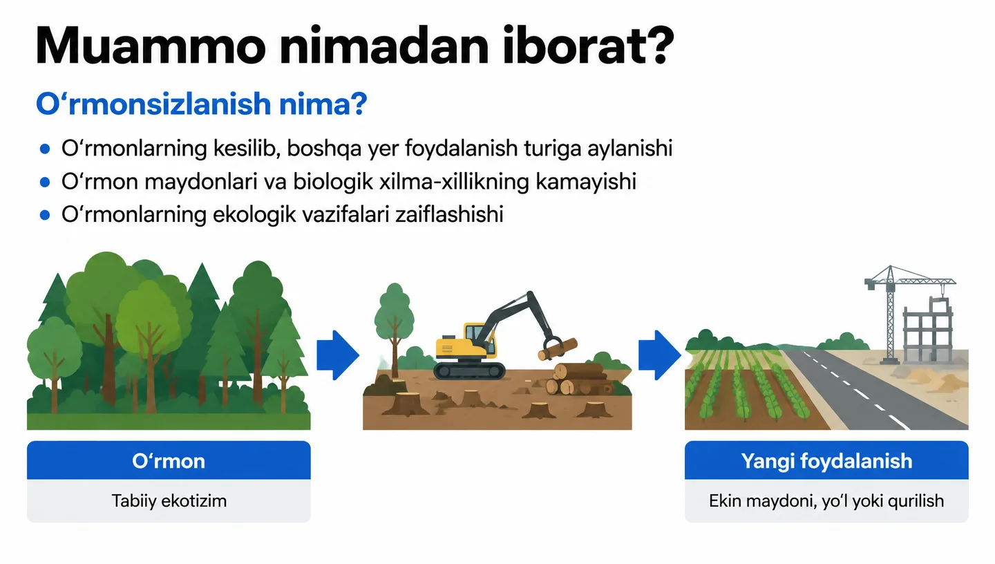 Muammo nimadan iborat?