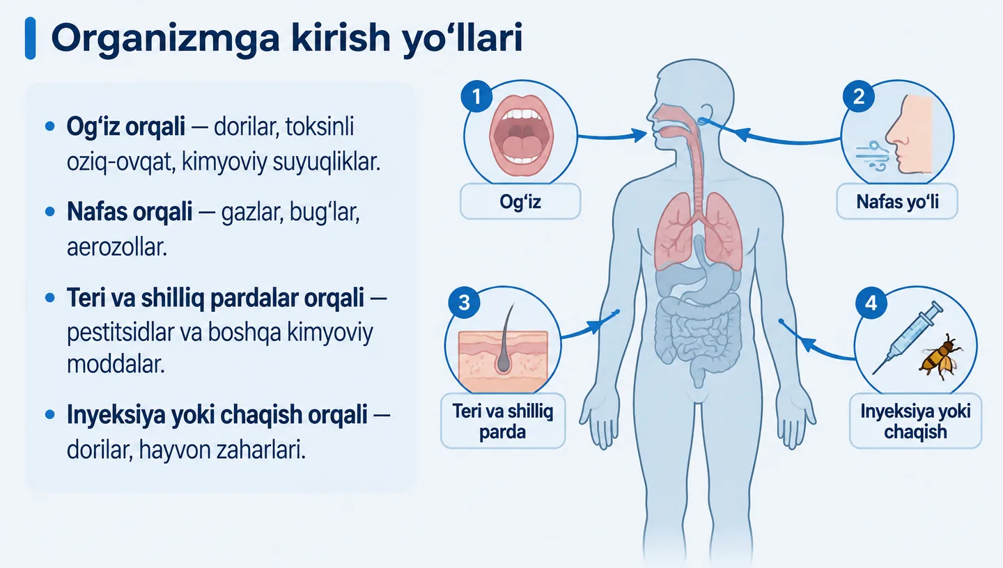 Organizmga kirish yo‘llari