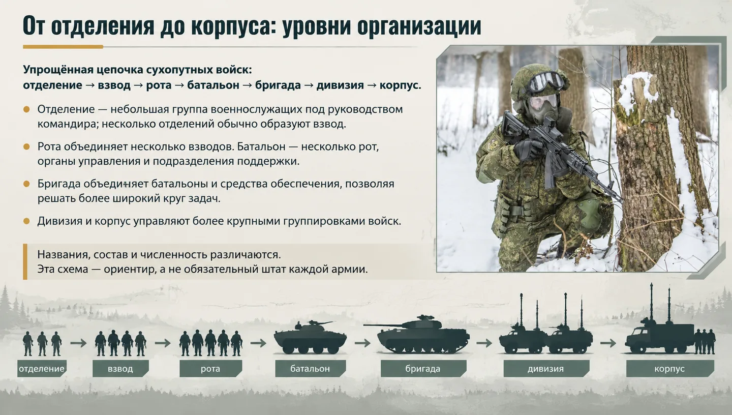 От отделения до корпуса: уровни организации
