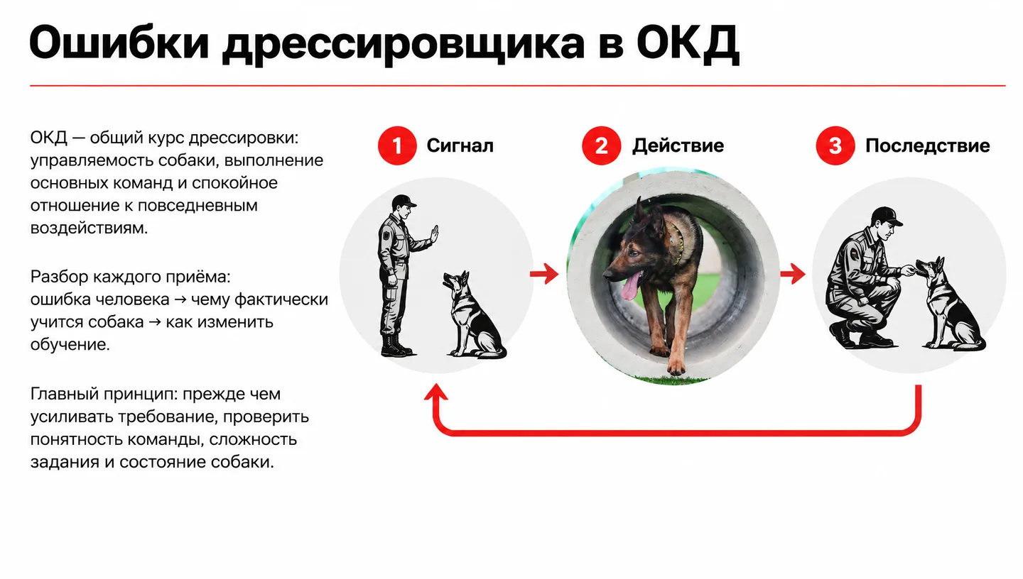 Первый слайд: Ошибки дрессировщика в ОКД