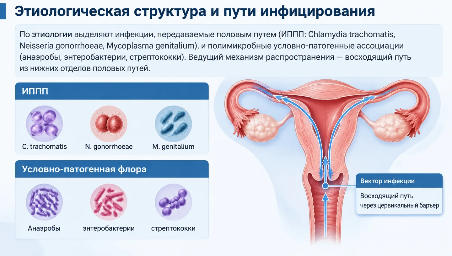 Этиологическая структура и пути инфицирования