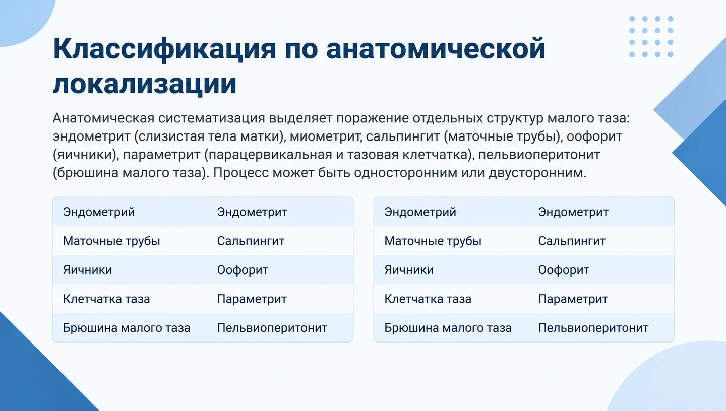 Классификация по анатомической локализации