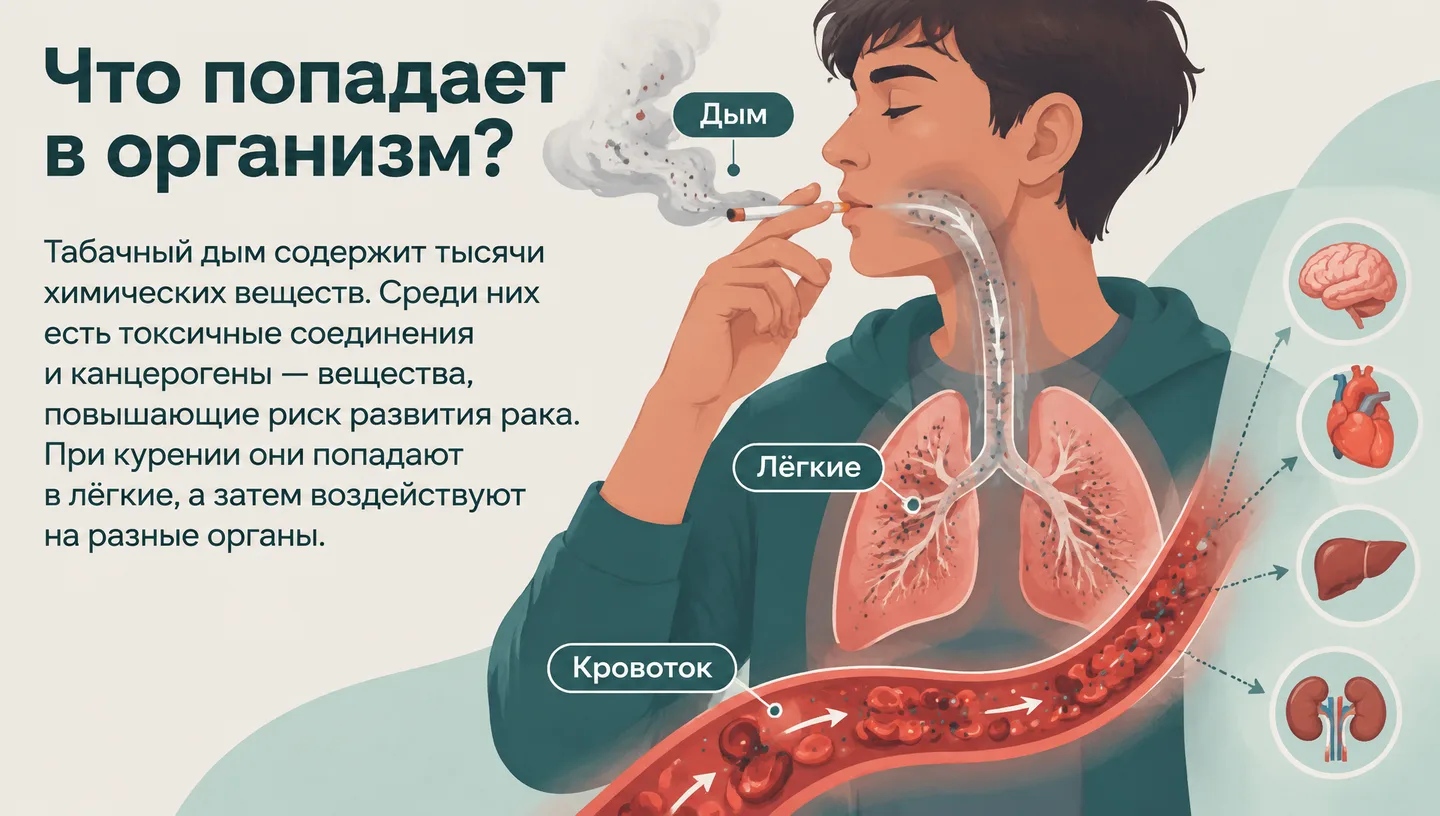 Что попадает в организм?
