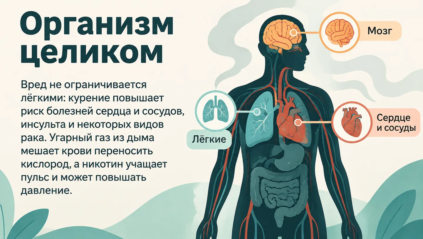 Организм целиком