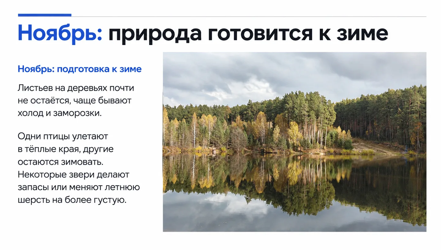 Ноябрь: природа готовится к зиме