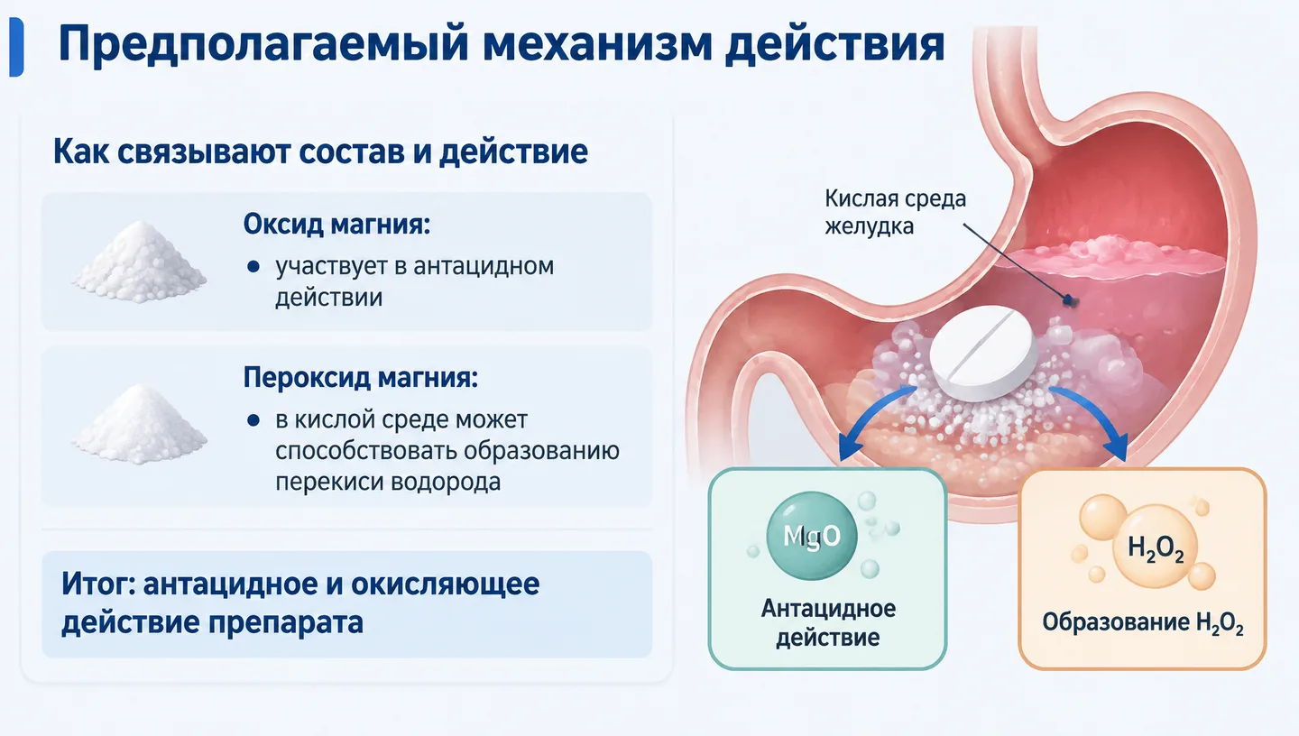 Предполагаемый механизм действия