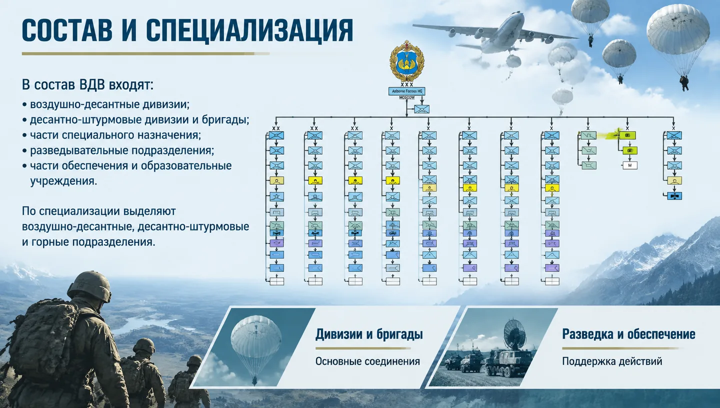 Состав и специализация