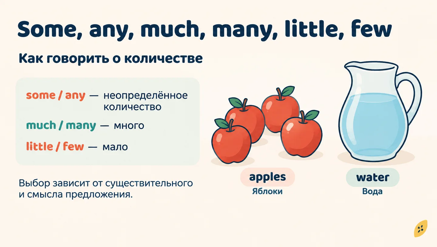 Первый слайд: Some, any, much, many, little, few