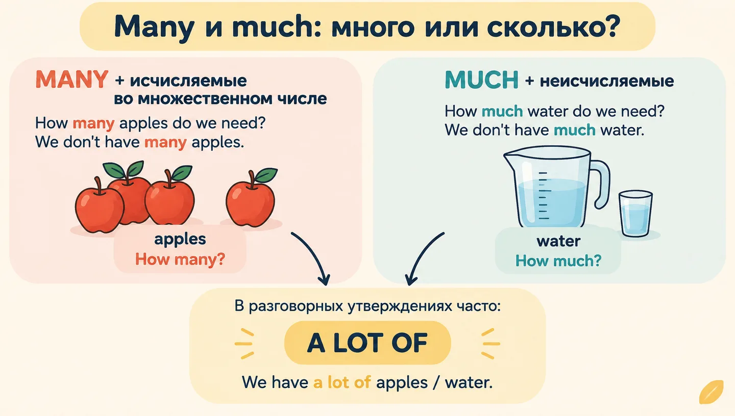Many и much: много или сколько?