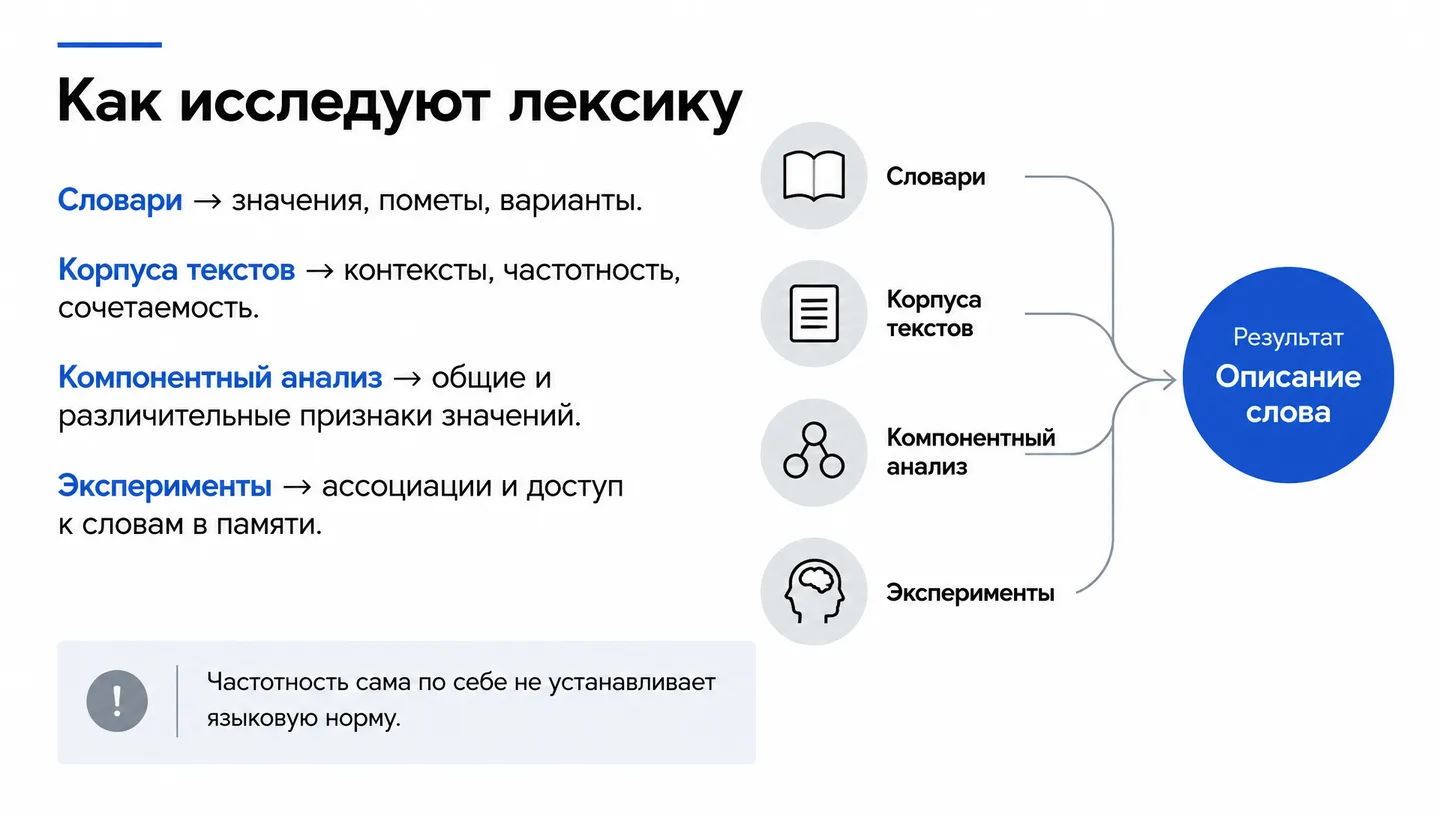 Как исследуют лексику