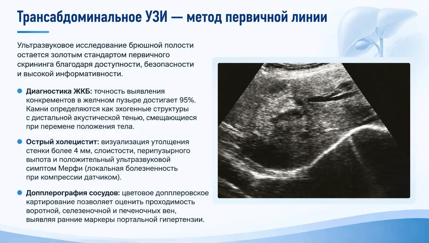 Трансабдоминальное УЗИ — метод первичной линии