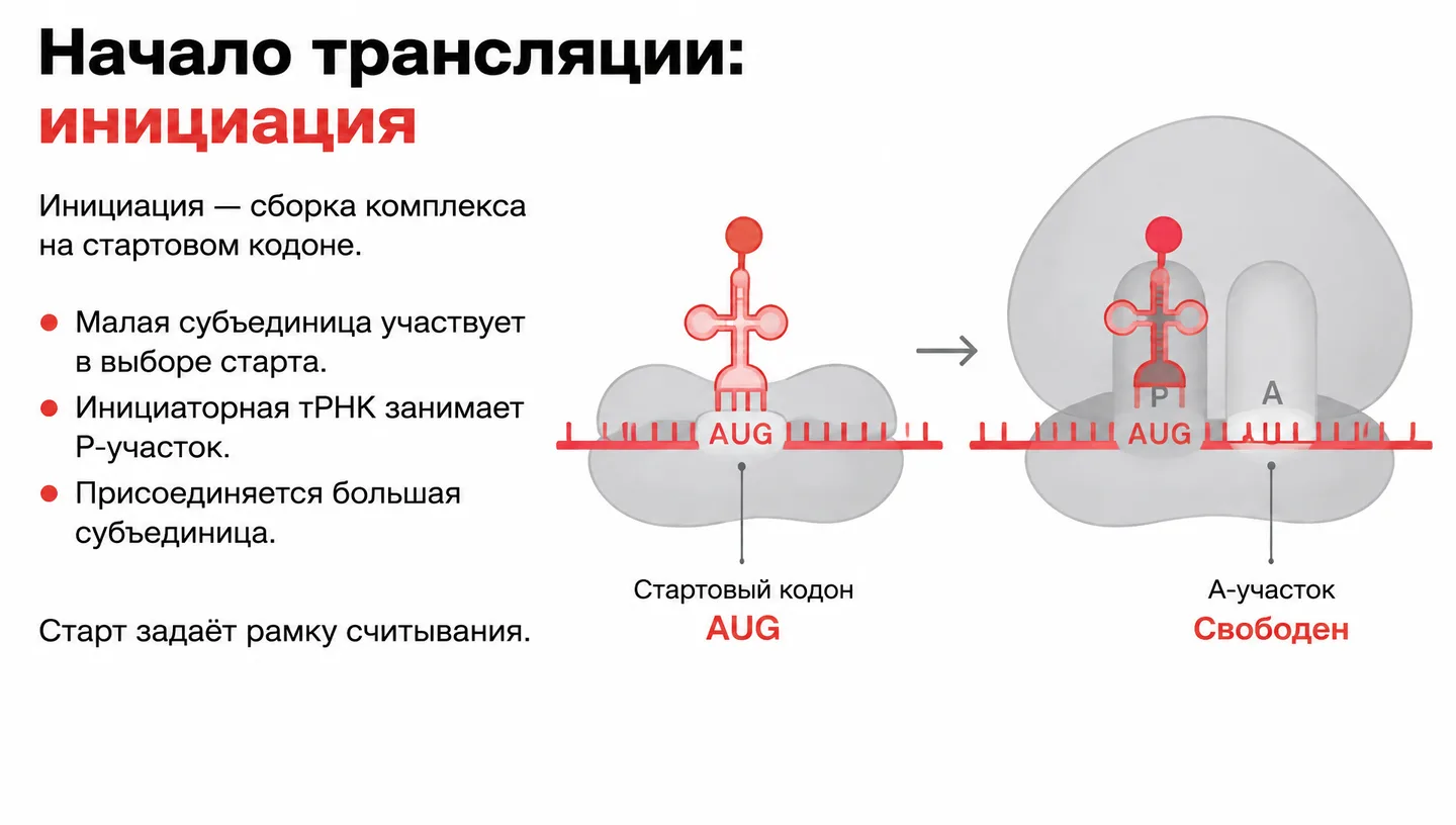 Начало трансляции: инициация