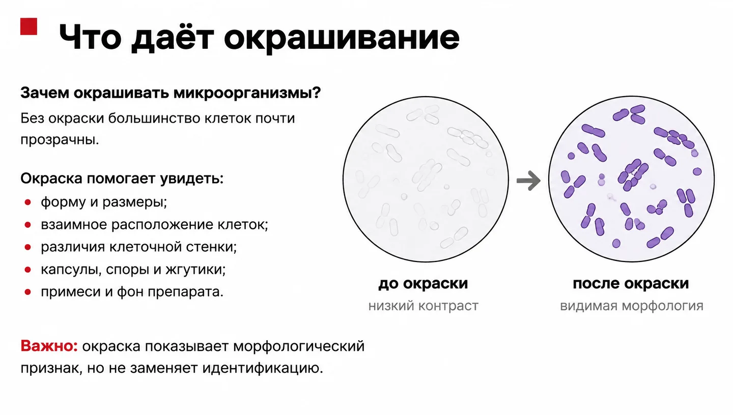 Что даёт окрашивание