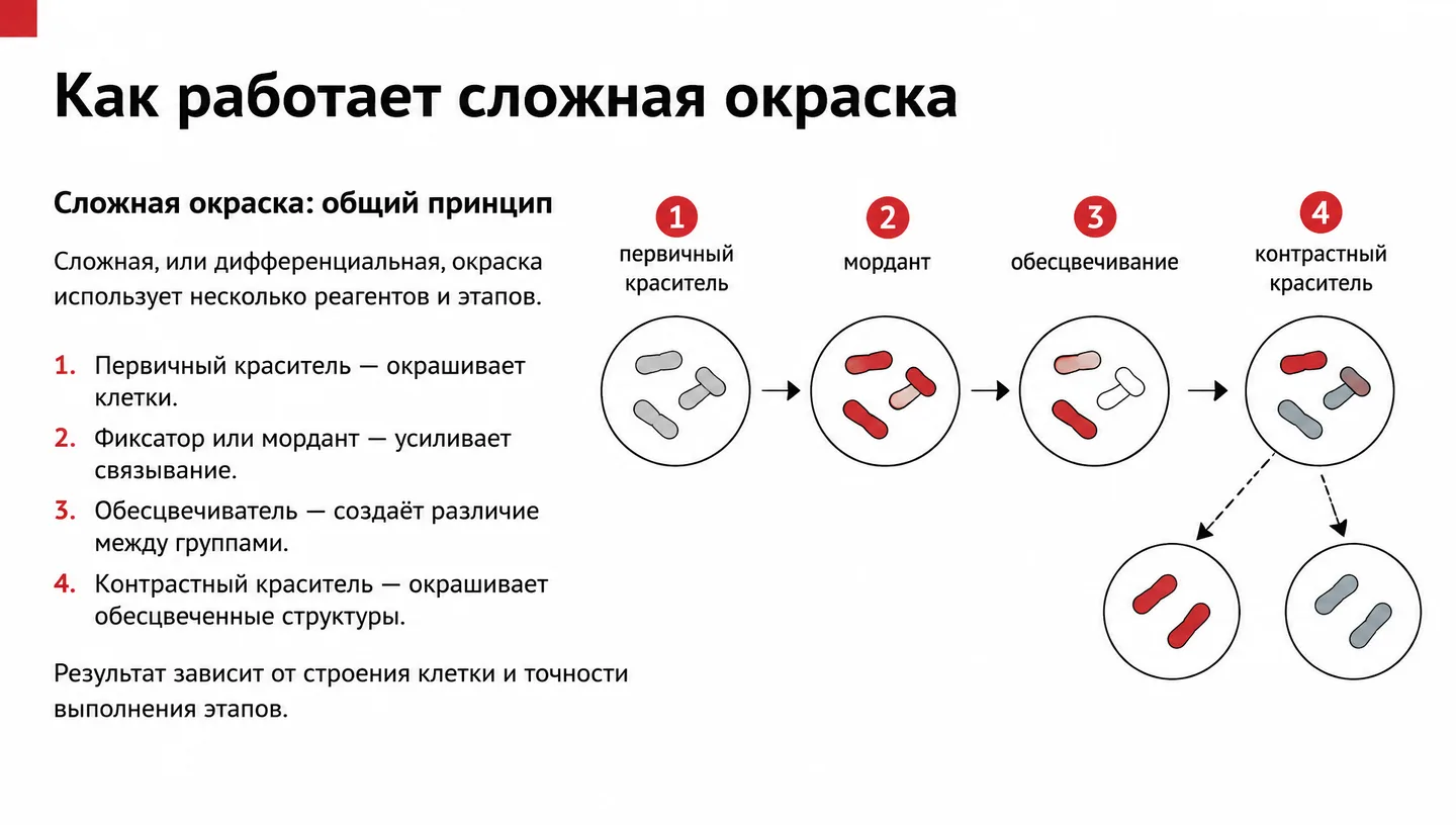 Как работает сложная окраска