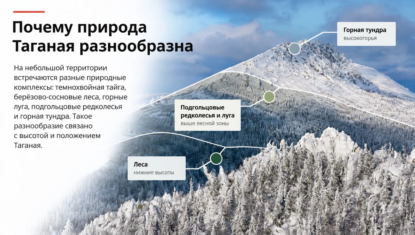 Почему природа Таганая разнообразна