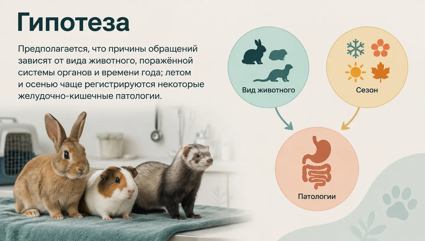 Гипотеза