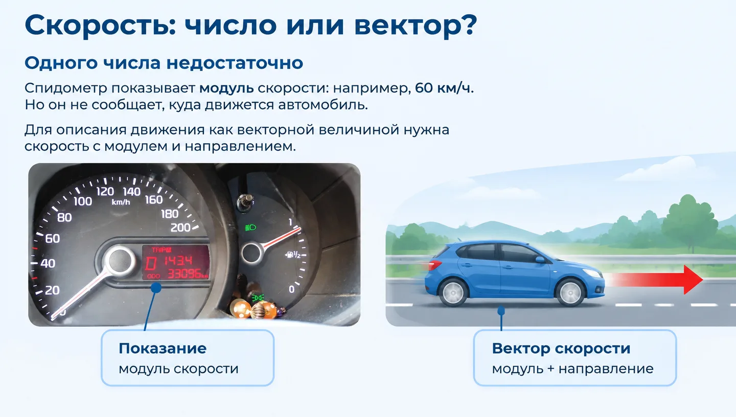 Скорость: число или вектор?