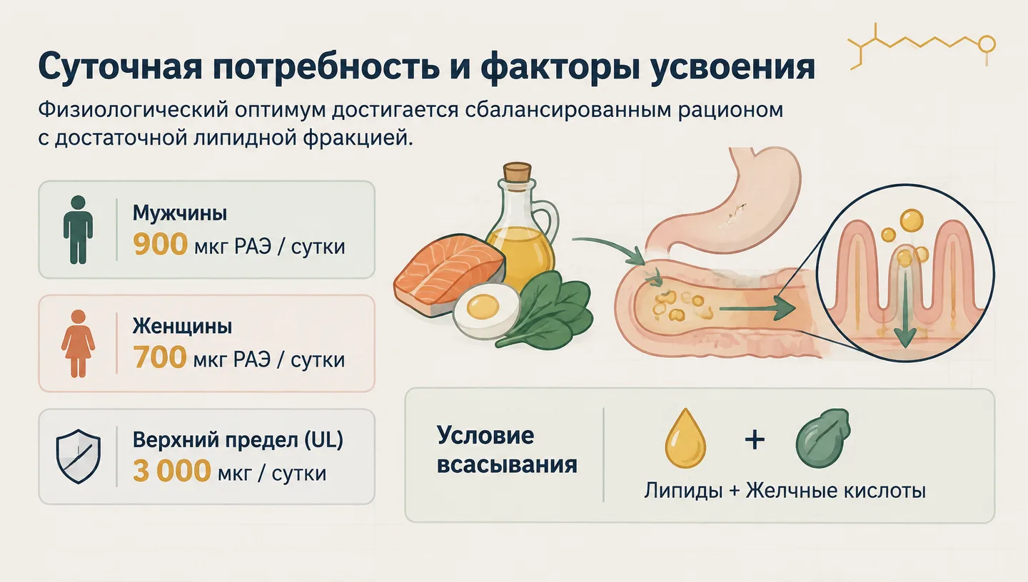 Суточная потребность и факторы усвоения