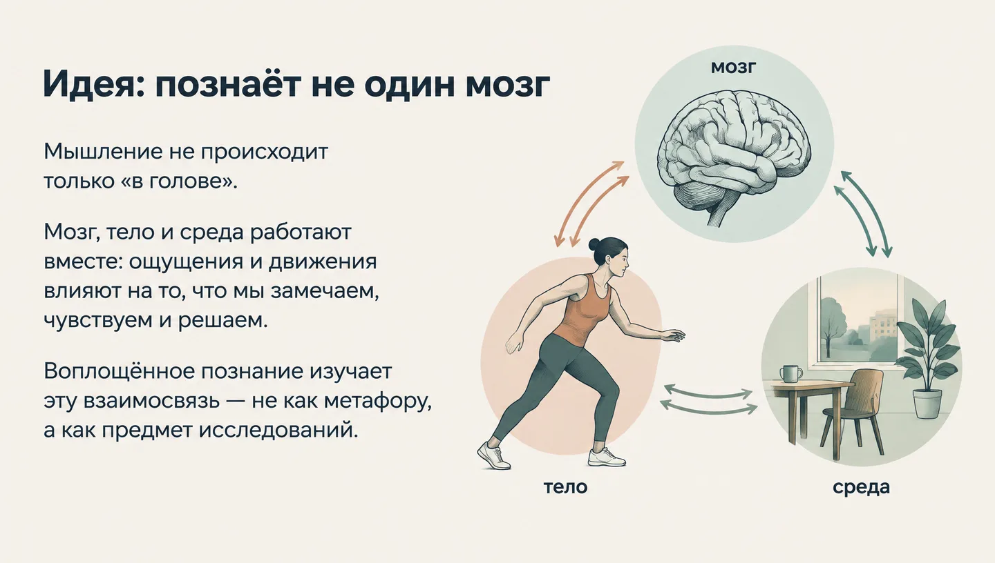 Идея: познаёт не один мозг