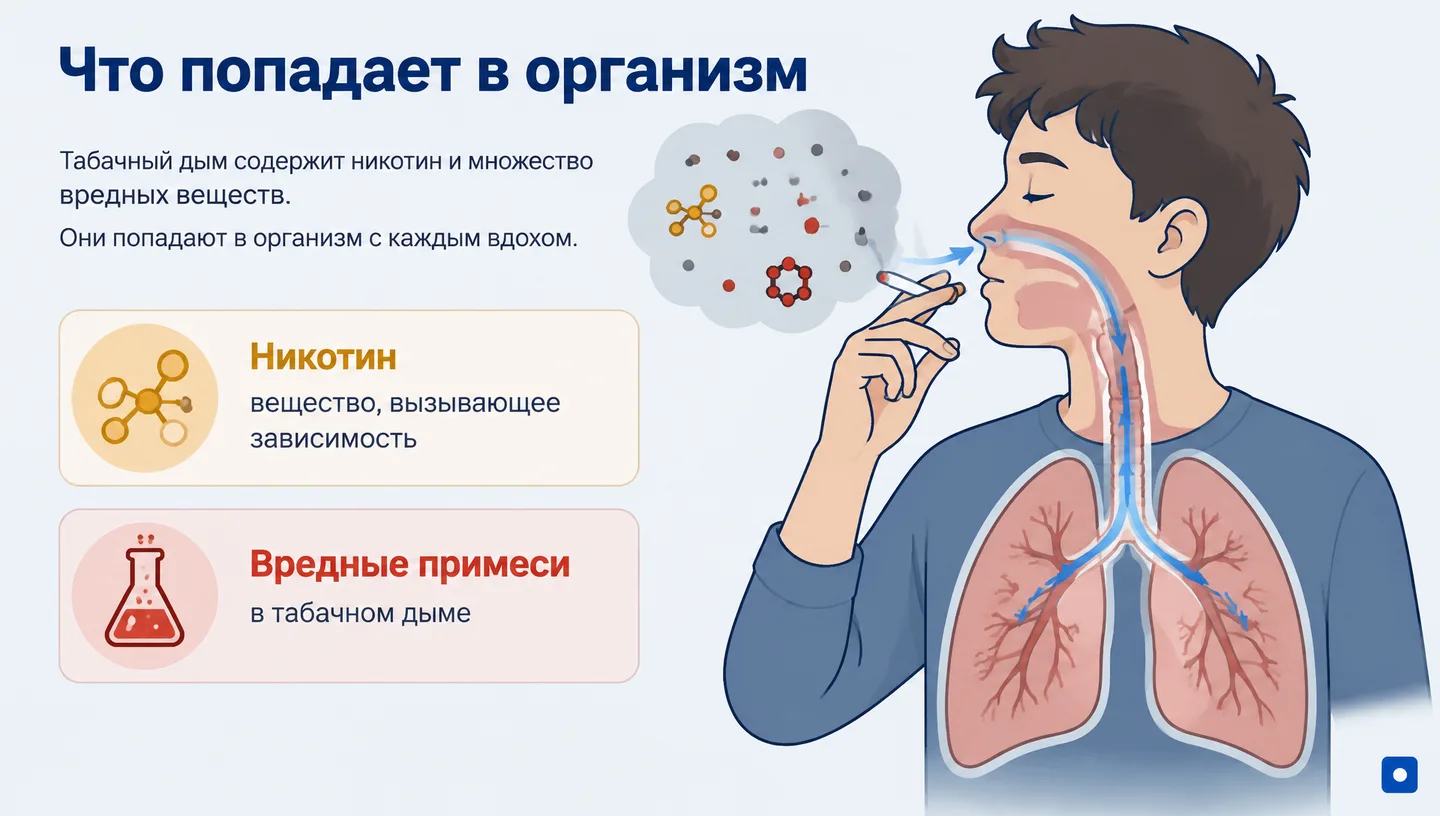 Что попадает в организм