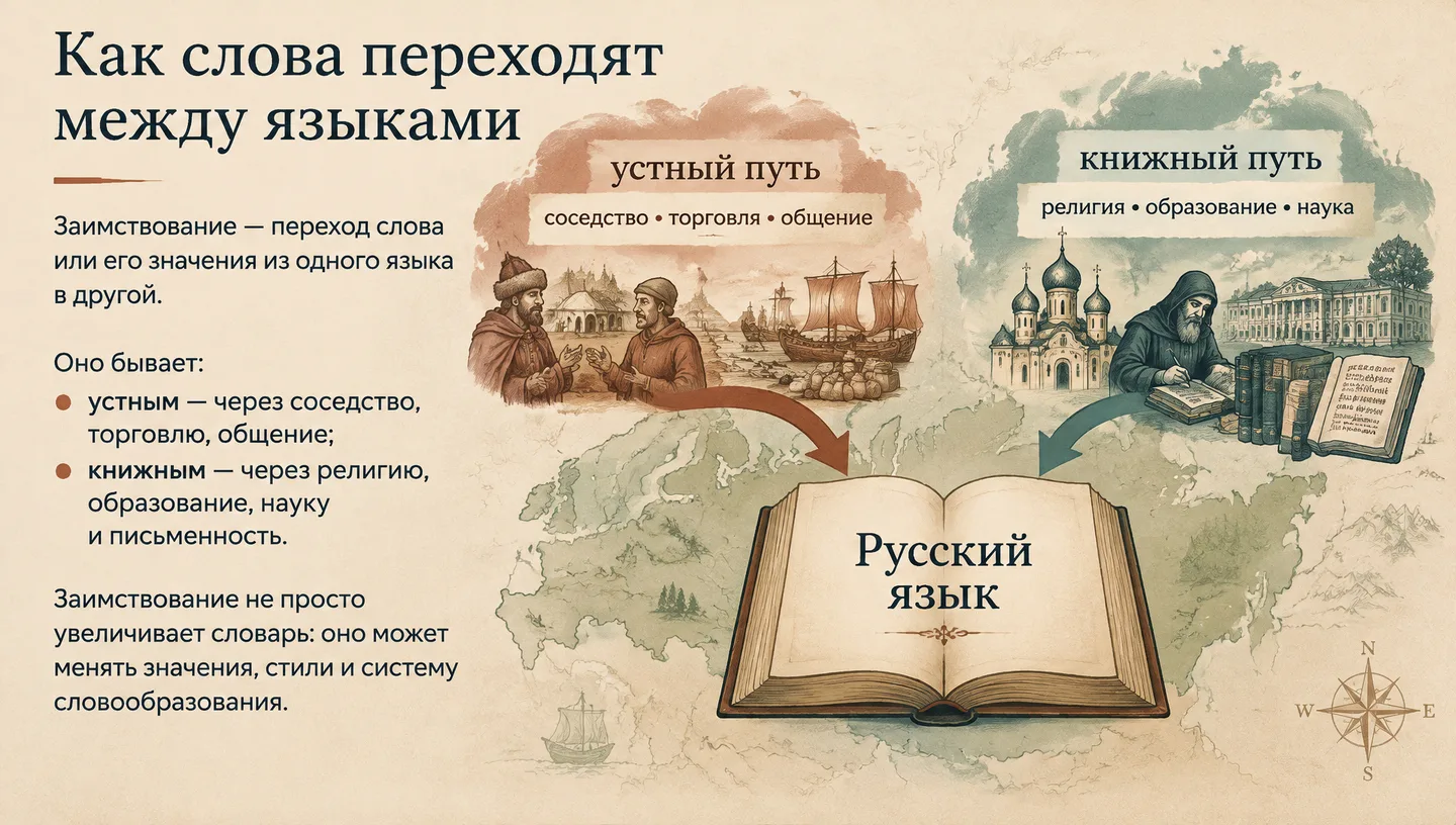 Как слова переходят между языками