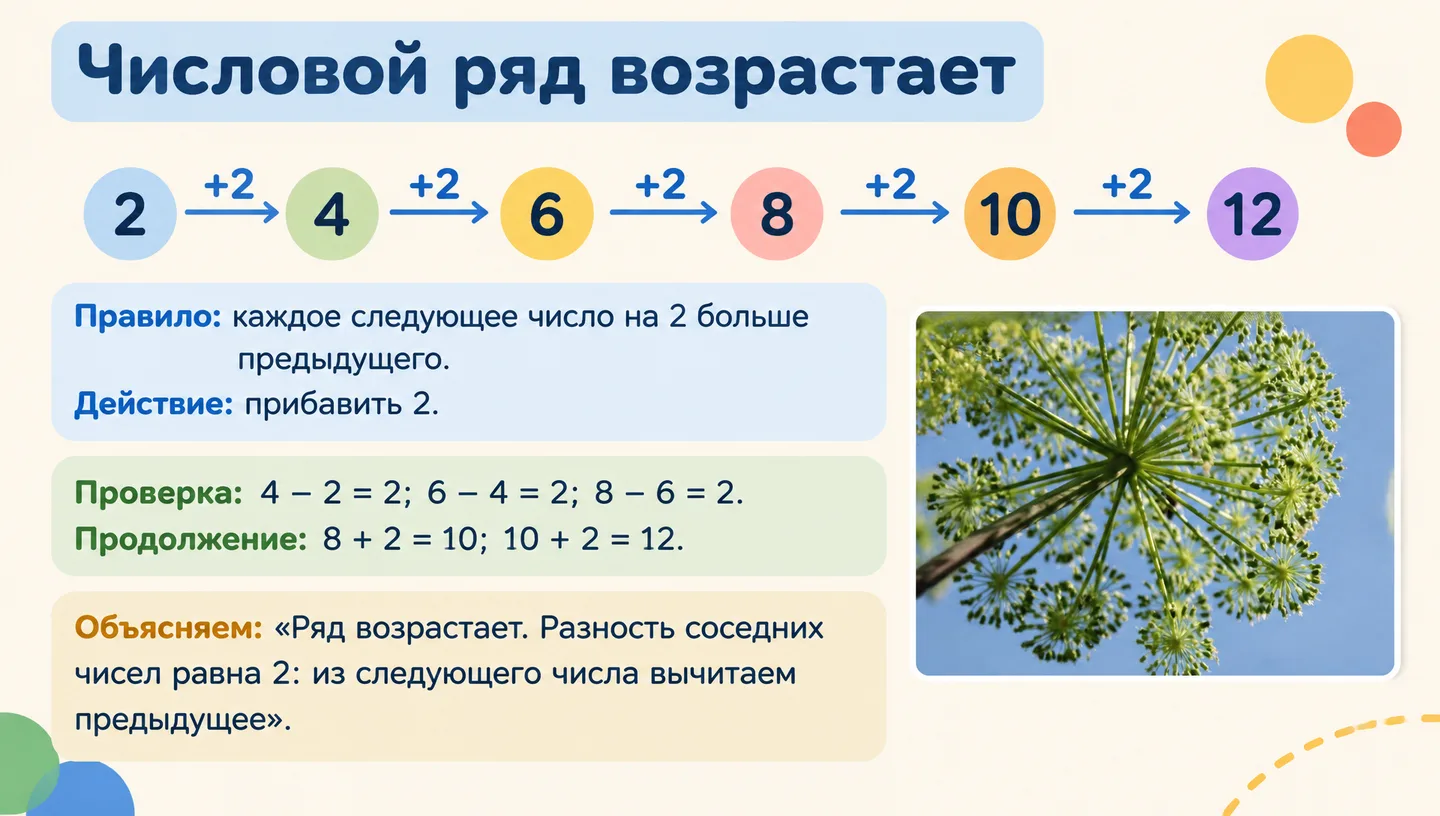 Числовой ряд возрастает
