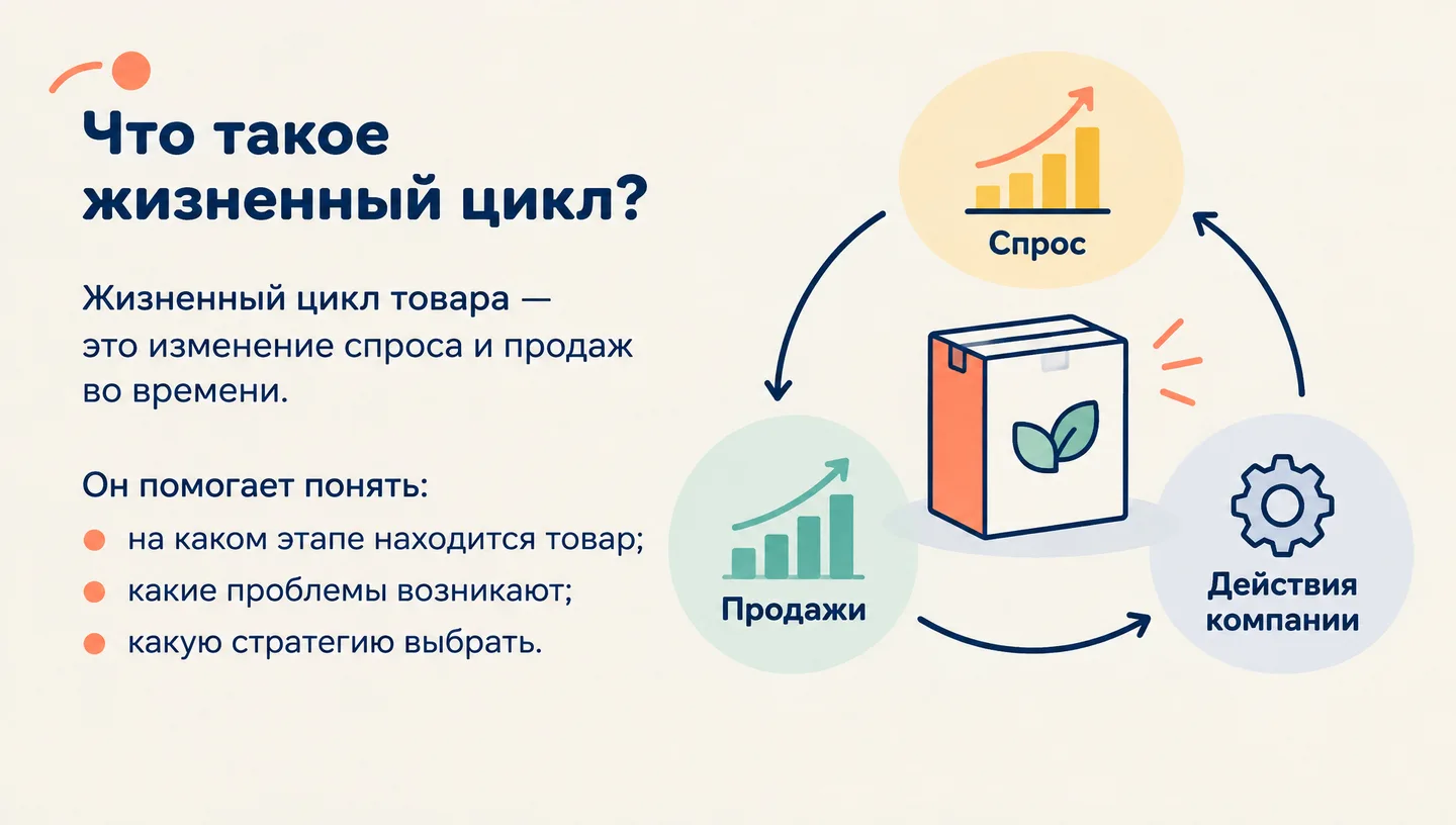 Что такое жизненный цикл?